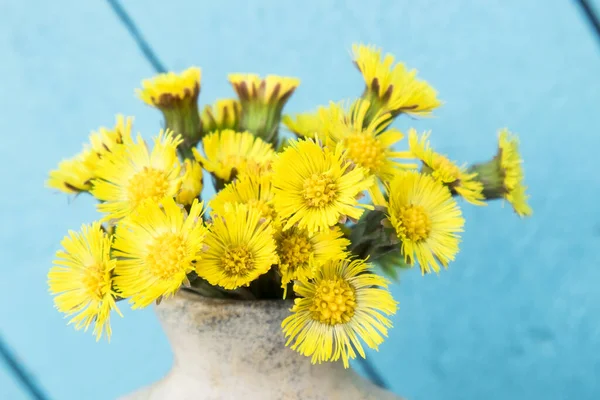 Close Yellow Early Spring Flowers Bouquet Called Coltsfoot Tussilago Fara — Stock fotografie