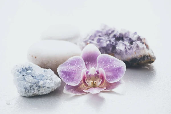 One pink orchid blossom with zen stones and amethyst cluster and blue cluster crystal on light background with water drops. Alternative medicine concept. — Stock Image One Pink Orchid Blossom Zen Stones Amethyst Cluster Blue Cluster Stock Photo