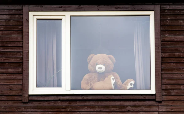 Berenjacht Grote Knuffelbeer Zit Het Raam Kijkt Naar Buiten Gefotografeerd — Stockfoto