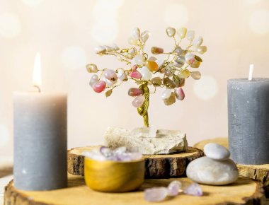 Feng shui mücevher ağacı, feng shui kristal ağacı olarak da bilinir, geleneksel feng shui okul uygulamalarında popüler bir tedavidir. Hayat ağacı mutluluk konsepti.