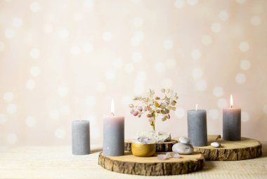 Feng shui mücevher ağacı, feng shui kristal ağacı olarak da bilinir, geleneksel feng shui okul uygulamalarında popüler bir tedavidir. Hayat ağacı mutluluk konsepti.