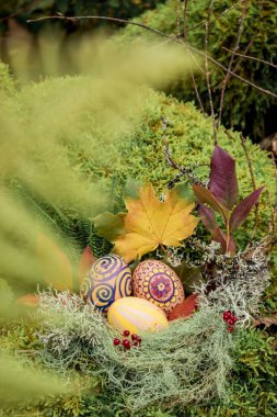 Yosun yosunu yuvasında üç renkli Paskalya yumurtası sonbahar yaprakları ve açık havada ormanda kırmızı böğürtlenler. Alternatif Paskalya dekorasyonu fikri.