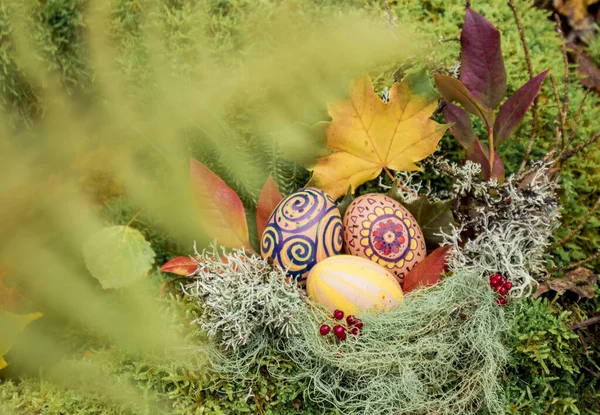 三个五彩斑斓的复活节彩蛋在苔藓的地衣窝里 秋天的森林里 秋天的叶子和红色的浆果 复活节装饰的替代方案 — 图库照片