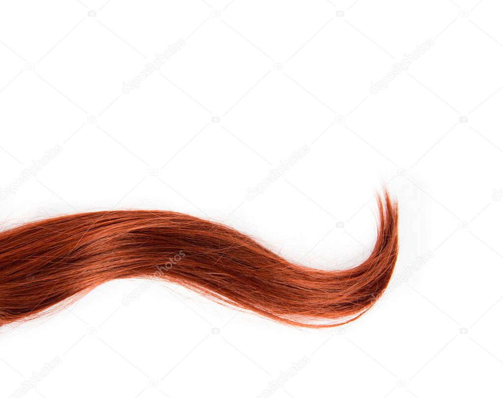 Clean flat lay studio view of simple voluminous curl strand made of lush burgundy red hair isolated on white background with copy space. Hair style products background design element concept.