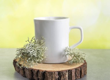 Gri ren geyiği liken (Cladonia rangiferina) bitkisel ilaç çayı yapmak için kullanılır. Lichen çay fincanının yanında, kopyalama alanı yeşil arkaplanda.