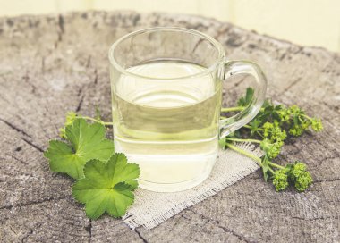 Alchemilla vulgaris, sıradan bir bayanın şifalı bitki çayı konsepti. Doğal ahşap zemin üzerine kompozisyon. 