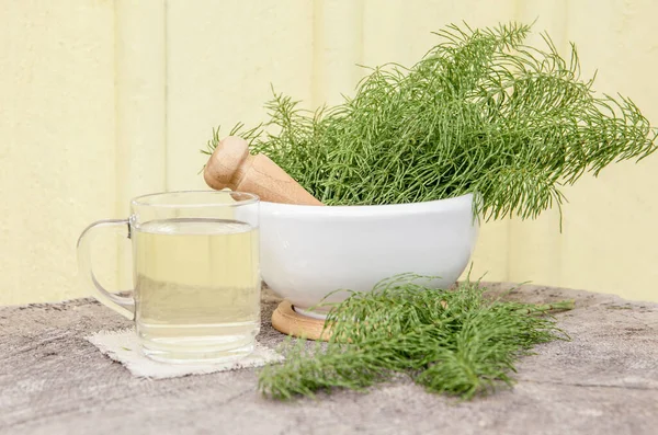 Bunch of herbal plant Equisetum arvense the field horsetail or common horsetail in white mortar and tea infusion next to it, yellow background with copy space. Herbal remedy concept. — Stock Image Bunch Herbal Plant Equisetum Arvense Field Horsetail Common Horsetail White Royalty Free Stock Images