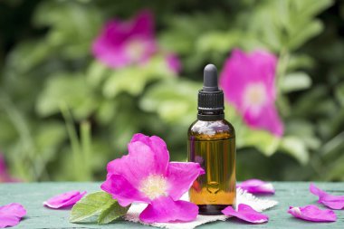 Gül kalçası (Rosa rugosa, plaj gülü, Japon gülü) taç yaprağı yağı kavramı. Serpilmiş pembe yapraklı kahverengi damlacık şişesi yemyeşil çalı çiçekli arka plan.