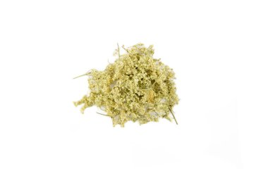 Kurutulmuş Filipendula ulmaryası. Beyaz arka planda izole edilmiş çayırotu ya da bal likörü olarak bilinir. Kurutulmuş organik bitki çayı konsepti.