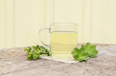 Alchemilla vulgaris, sıradan bir bayanın şifalı bitki çayı konsepti. Doğal ahşap zemin üzerine kompozisyon. 