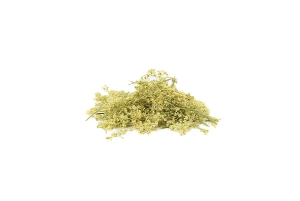 Dried Filipendula Ulmaria Commonly Known Meadowsweet Mead Wort Isolated White — Stock Photo, Image