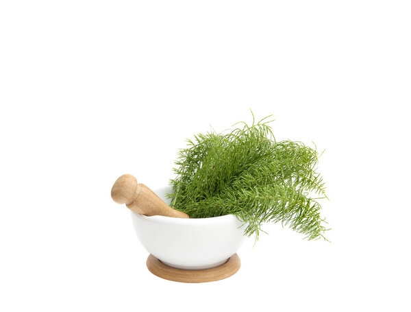 Bunch of herbal plant Equisetum arvense the field horsetail or common horsetail in white mortar and tea infusion next to it, yellow background with copy space. Herbal remedy concept.