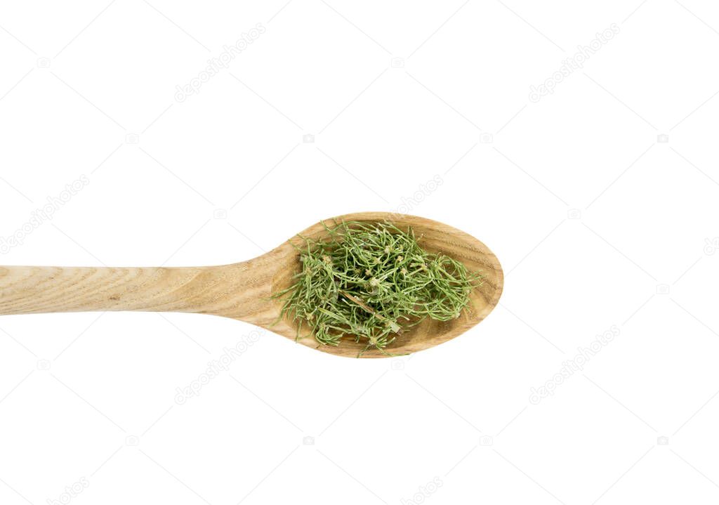 Top view heap of dried natural herbal remedy called Equisetum arvense the field horsetail or common horsetail on wooden spoon isolated on white background.