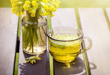 Bir fincan Primula veris çayı (inek ayağı, inek ayağı, inek ayağı, çuha çiçeği; syn. Primula officinalis Tepesi açık havada taze çiçekler, yeşil arka plan. Alternatif tıp konsepti.