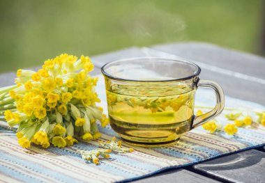 Bir fincan Primula veris çayı (inek ayağı, inek ayağı, inek ayağı, çuha çiçeği; syn. Primula officinalis Tepesi açık havada taze çiçekler, yeşil arka plan. Alternatif tıp konsepti.