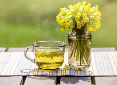 Bir fincan Primula veris çayı (inek ayağı, inek ayağı, inek ayağı, çuha çiçeği; syn. Primula officinalis Tepesi açık havada taze çiçekler, yeşil arka plan. Alternatif tıp konsepti.