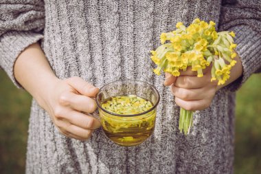 Bir fincan Primula veris çayı (inek ayağı, inek ayağı, inek ayağı, çuha çiçeği; syn. Primula officinalis Tepesi açık havada taze çiçekler, yeşil arka plan. Alternatif tıp konsepti.