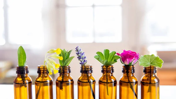 Selective Focus Lot Fresh Herbs Small Vintage Bottles Row Essential — Stock Photo, Image