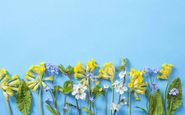 Varios Flores Primavera Concepto Fondo Blue Forget Nots Cowslips Amarillos — Foto de Stock