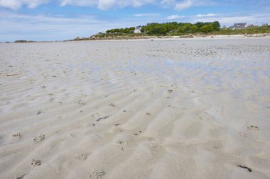 Ebb, Brittany sahilinde, mavi gökyüzü, yaz tatili hissi, denizden küçük bir adaya ağaçlar ve evler, rahatlamış