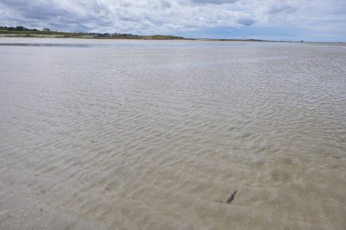 Alçak sular, sahil manzarası, yaz tatilleri, sığ sular.