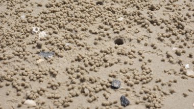Kum plaj arka plan üzerinde hayalet Yengeç delik