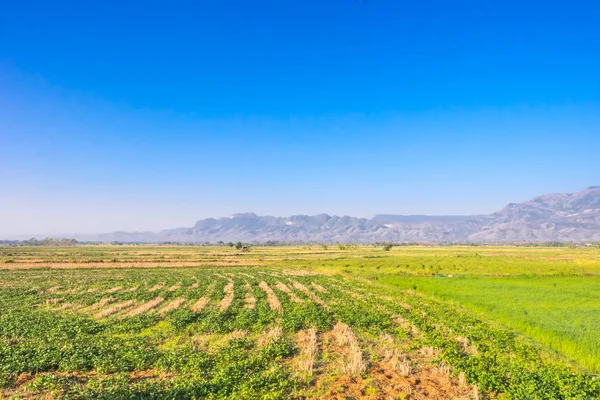 Kırsal alan ve mavi gökyüzü sahne 