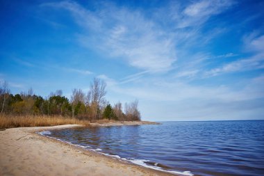 Kuru sazlık ile bir gölün kıyısında 