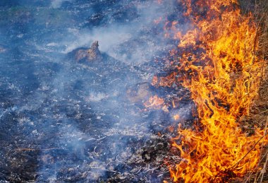 Arka plan olarak yararlı alanında ateş.    