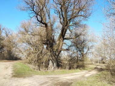 doğa, nehirler, dağlar, tepeler