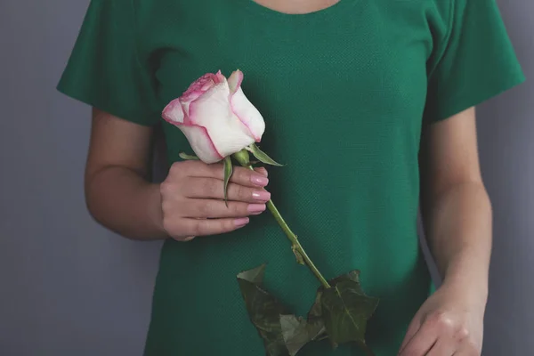 Frau Hand Rosa Rose Auf Grauem Hintergrund — Stockfoto