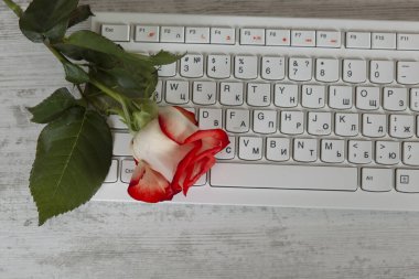 masadaki bilgisayardaki çiçek tuş bpard