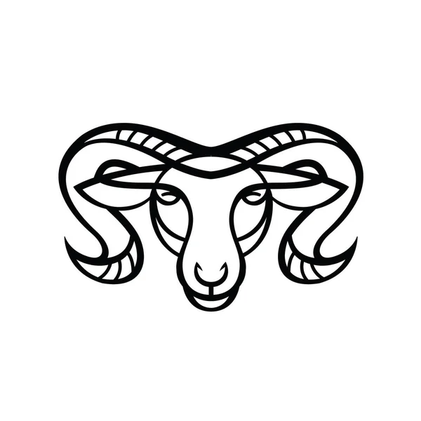 Linear stylized drawing - head of sheep or ram — Stock Vector