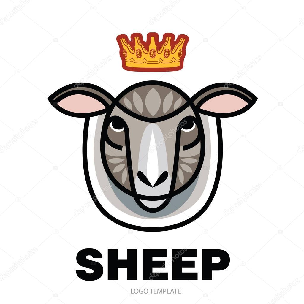 Drawing head of sheep