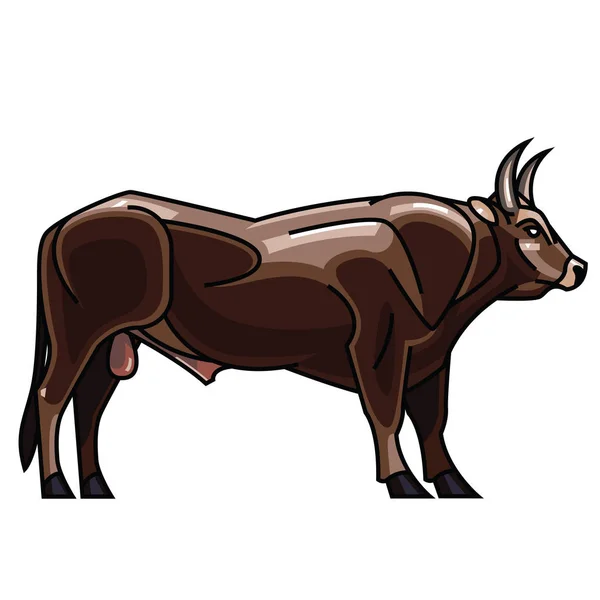 Draving vettoriale - potente toro cornuto — Vettoriale Stock