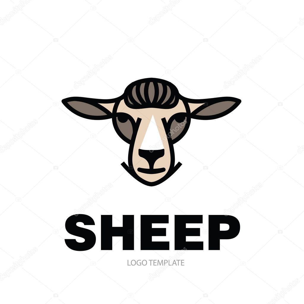 Drawing head of sheep