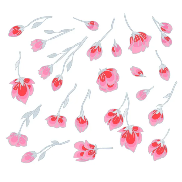 Rosa Sakura Blossom — Vetor de Stock