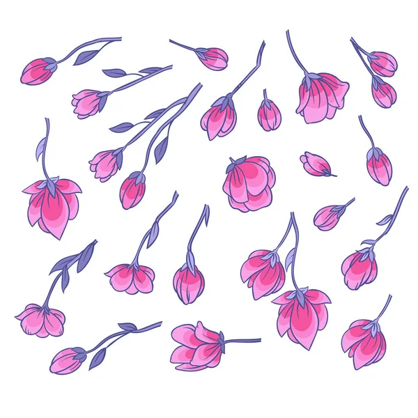 Roze sakura bloesem — Stockvector