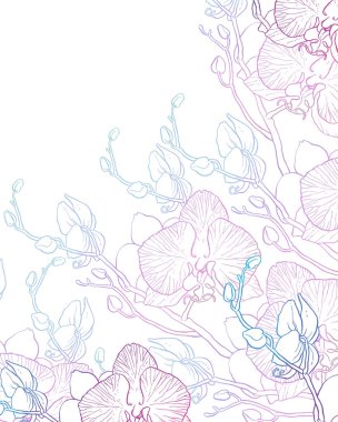 arka plan ile orkide