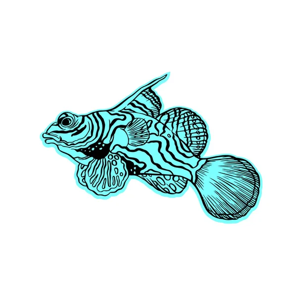 Ljusa tropisk havsfisk — Stock vektor