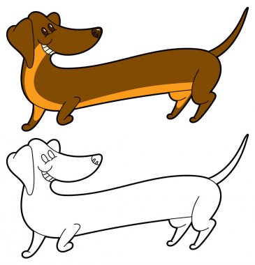 Sevimli çizgi uzun dachshund