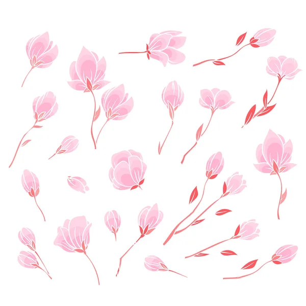Roze sakura bloesem — Stockvector