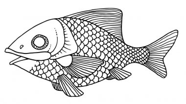 zengin bir şekilde dekore edilmiş balık el çizimi