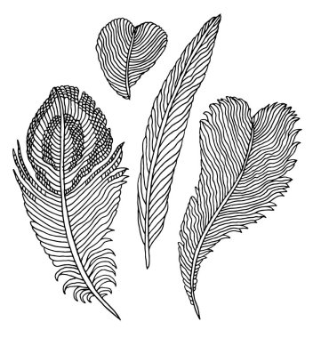 Elle çizilmiş tüyler seti