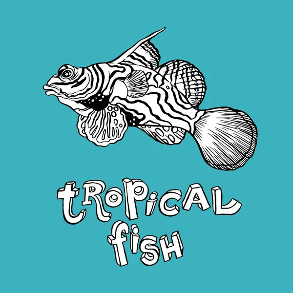 Tropische vissen - Vector hand tekenen van illustratie — Stockvector