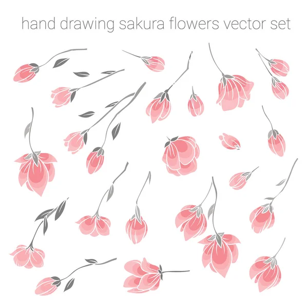 Sok olyan finom rózsaszín sakura cseresznye virágok — Stock Vector