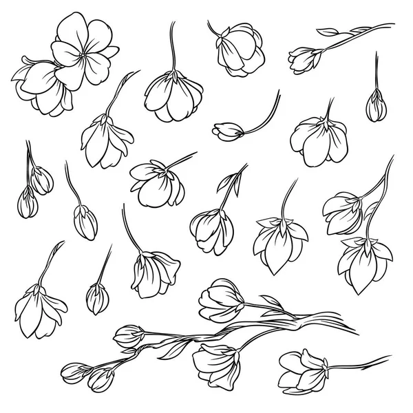 narin pembe sakura kiraz çiçekleri büyük set