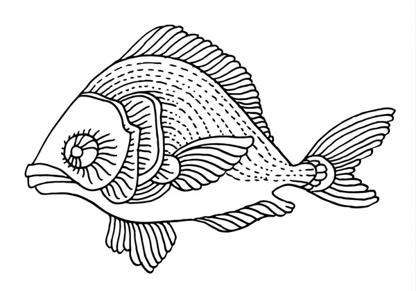 zengin bir şekilde dekore edilmiş balık el çizimi