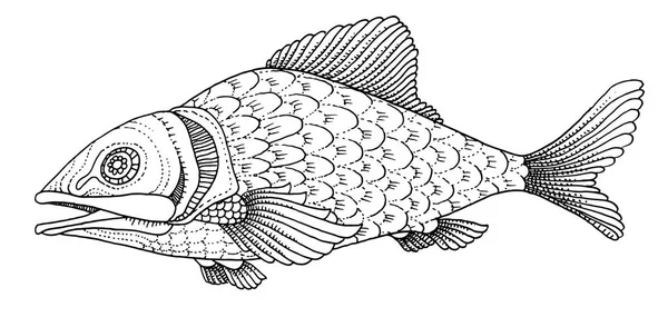 Zengin bir şekilde dekore edilmiş balık el çizimi — Stok Vektör