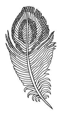 elle çizilmiş tüy